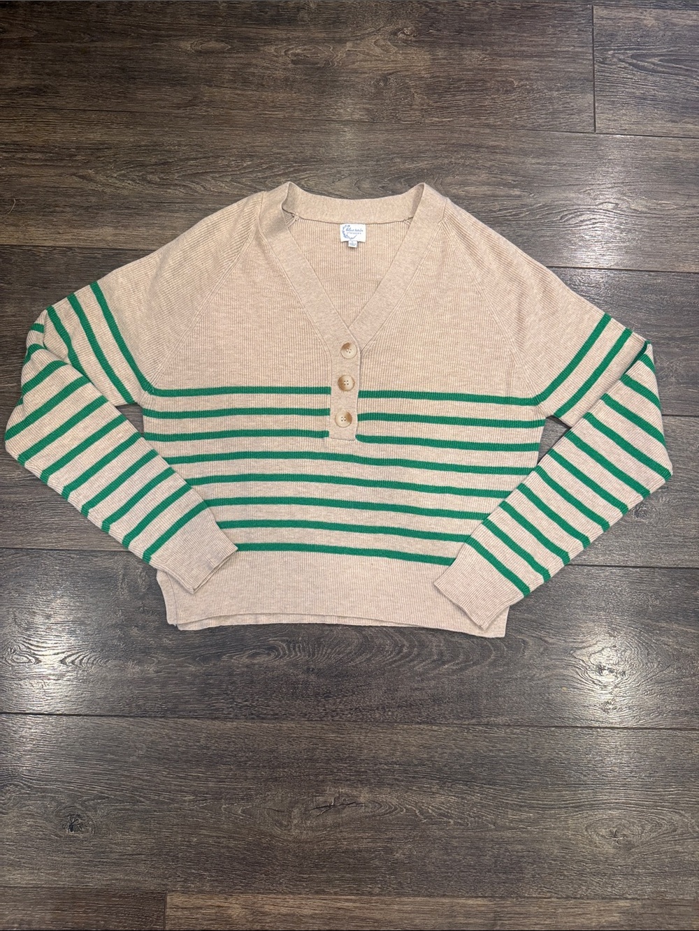 Francesca’s Beige and Green Striped V-Neck Sweater